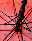 Axiom Watermelon Umbrella